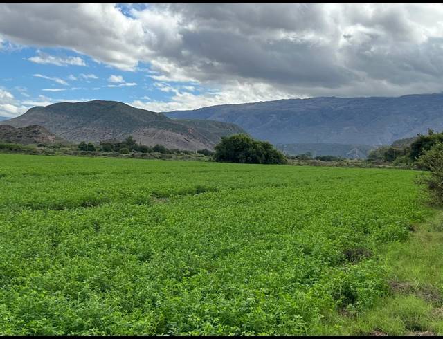 338HA FARM FOR SALE IN LADISMITH RURAL